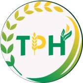 dpth-logo